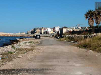 Continuiamo a passeggiare su strada del Baraccone, dirigendoci verso Lama Balice. Finalmente riusciamo a raggiungere l�unico tratto di costa �libero�, dove alghe, rifiuti e sterpaglie la fanno da padrone